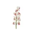 Kép 2/8 - EUROPALMS Cymbidium branch, artificial, white-pink, 90cm