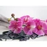 Kép 4/8 - EUROPALMS Orchid branch, artificial, purple, 100cm