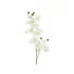 Kép 2/4 - EUROPALMS Orchid branch, artificial, cream-white, 100cm