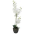 Kép 1/8 - EUROPALMS Orchid, artificial plant, white, 80cm