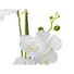 Kép 3/8 - EUROPALMS Orchid, artificial plant, white, 80cm