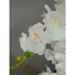 Kép 6/8 - EUROPALMS Orchid, artificial plant, white, 80cm