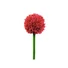 Kép 2/5 - EUROPALMS Allium spray, artificial, red, 55cm