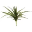 Kép 1/6 - EUROPALMS Aloe (EVA), artificial, green, 50cm