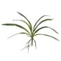 Kép 1/7 - EUROPALMS Orchid leaf (EVA), arificial, green, 45cm