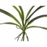 Kép 2/7 - EUROPALMS Orchid leaf (EVA), arificial, green, 45cm