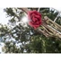 Kép 5/8 - EUROPALMS Rose Garland (EVA), artificial, red