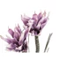 Kép 2/5 - EUROPALMS Magnolia Branch (EVA), artificial, violet