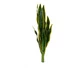 Kép 3/5 - EUROPALMS Snake Tongue (EVA), artificial, green-yellow, 60cm