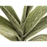 Kép 2/3 - EUROPALMS Yucca Branch (EVA), artificial, green