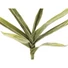 Kép 3/3 - EUROPALMS Yucca Branch (EVA), artificial, green