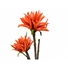 Kép 2/8 - EUROPALMS Dahlia (EVA), artificial plant, orange, 100cm