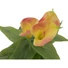 Kép 2/8 - EUROPALMS Mini Calla, artificial plant, yellow-orange, 43cm
