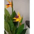 Kép 5/8 - EUROPALMS Bird-of-paradise Flower, artificial plant, 90cm