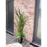 Kép 6/8 - EUROPALMS Succulent-Mix, artificial plant, 190cm