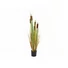 Kép 2/8 - EUROPALMS Bulrush, artificial plant, 150cm