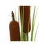Kép 3/8 - EUROPALMS Bulrush, artificial plant, 150cm
