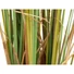 Kép 5/8 - EUROPALMS Bulrush, artificial plant, 150cm