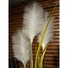 Kép 4/7 - EUROPALMS Wild growth, artificial, 120cm