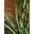 Kép 6/7 - EUROPALMS Wild growth, artificial, 120cm
