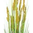 Kép 2/3 - EUROPALMS Parrot grass, artificial, 120cm