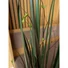 Kép 5/7 - EUROPALMS Willow branch grass, artificial, 183cm