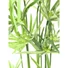 Kép 2/7 - EUROPALMS Cyprus Grass, artificial, 76cm
