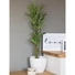 Kép 6/7 - EUROPALMS Cyprus Grass, artificial, 76cm