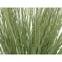 Kép 2/8 - EUROPALMS Ornamental grass, artificial, 65cm