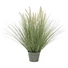 Kép 1/5 - EUROPALMS Ornamental blooming grass, artificial, 70cm