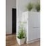 Kép 5/5 - EUROPALMS Ornamental blooming grass, artificial, 70cm