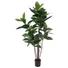 Kép 1/8 - EUROPALMS Rubber tree, artificial plant, 120cm