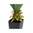 Kép 2/6 - EUROPALMS Agave plant with pot, artificial plant, 75cm