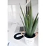 Kép 4/6 - EUROPALMS Aloe Vera Plant, artificial plant, 60cm