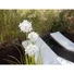 Kép 7/7 - EUROPALMS Allium grass, artificial plant, white, 120 cm