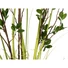 Kép 2/8 - EUROPALMS Evergreen shrub with grass, artificial plant, 120cm