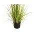 Kép 4/8 - EUROPALMS Evergreen shrub with grass, artificial plant, 120cm