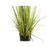 Kép 3/8 - EUROPALMS Evergreen shrub with grass, artificial plant, 182cm