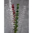 Kép 6/8 - EUROPALMS Crystal eucalyptus, artificial plant, green 81cm 12x