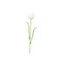 Kép 1/5 - EUROPALMS Crystal tulip, artificial flower, white 61cm 12x