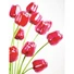 Kép 5/6 - EUROPALMS Crystal tulip,artificial flower, red 61cm 12x