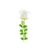 Kép 2/8 - EUROPALMS Crystal rose, white, artificial flower, 81cm 12x