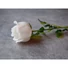 Kép 6/8 - EUROPALMS Crystal rose, white, artificial flower, 81cm 12x