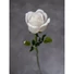 Kép 8/8 - EUROPALMS Crystal rose, white, artificial flower, 81cm 12x