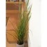 Kép 7/7 - EUROPALMS Reed (grass),  artificial, 145cm