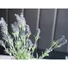 Kép 3/8 - EUROPALMS Lavender bush, artificial, 61cm