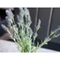 Kép 4/8 - EUROPALMS Lavender bush, artificial, 61cm
