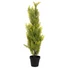Kép 1/8 - EUROPALMS Cypress, Leyland, artificial plant,  90cm