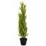 Kép 2/8 - EUROPALMS Cypress, Leyland, artificial plant,  90cm