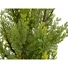 Kép 3/8 - EUROPALMS Cypress, Leyland, artificial plant,  90cm